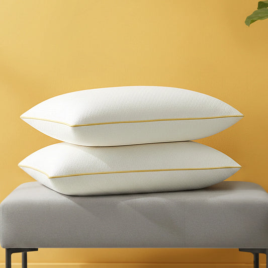 Relux Anti Microbial Memory Foam Pillow
