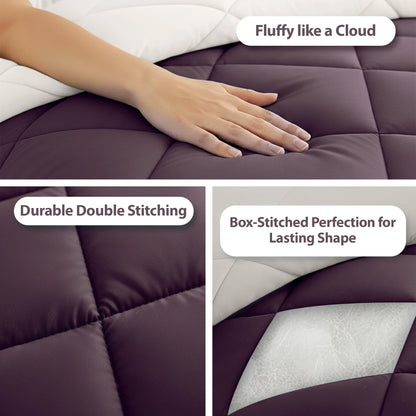 Comforter Blush & Plum