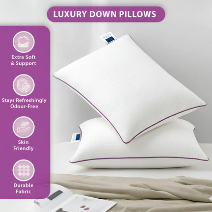 Classique memory foam-16x24