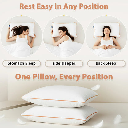 Classique Soft Sleep Pillow