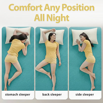 Relux Anti Microbial Memory Foam Pillow